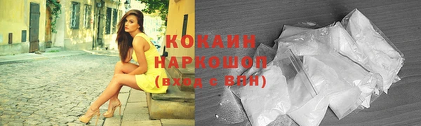 стаф Бородино