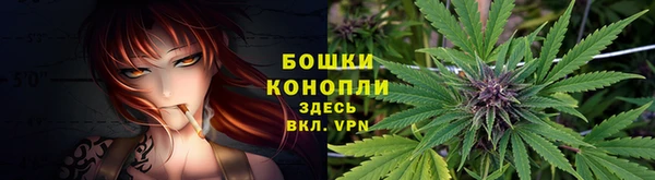 стаф Бородино