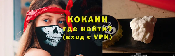 стаф Бородино