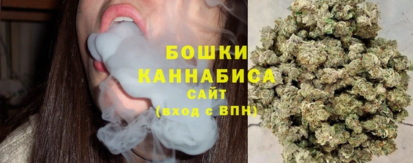 стаф Бородино