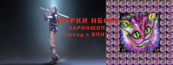 стаф Бородино