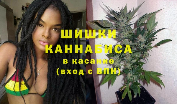 стаф Бородино