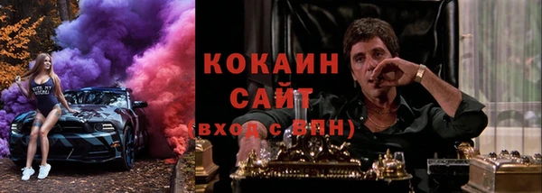 стаф Бородино