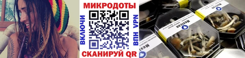 Псилоцибиновые грибы прущие грибы  блэк спрут зеркало  Березники 