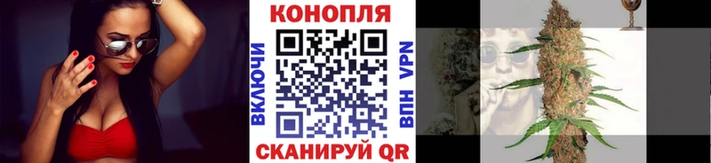 Шишки марихуана гибрид  где можно купить наркотик  Березники 